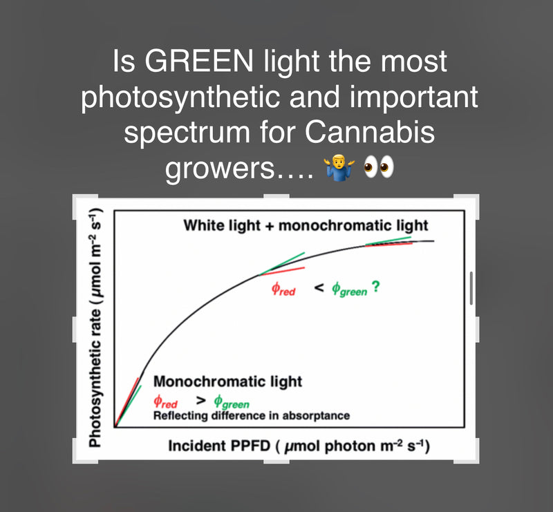 Is Green the most Photosynthetic light for Cannabis growers?