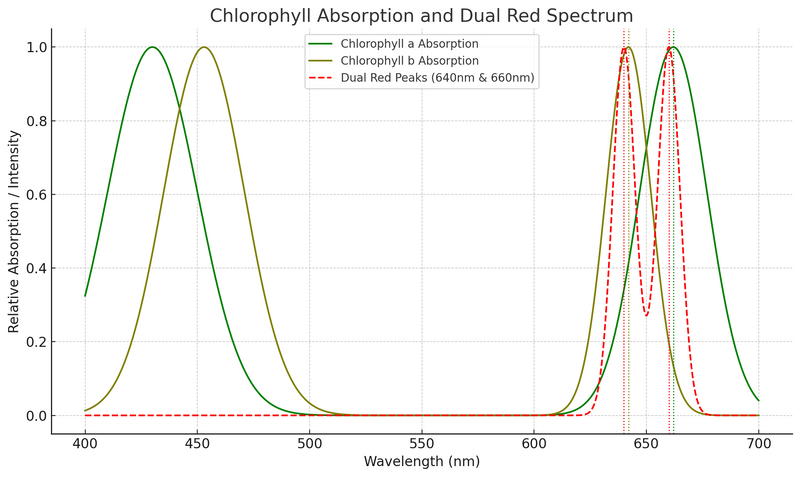 Got Terps? Why Dual Red Terp Boost at 640nm + 660nm Is Better Than 660nm Alone