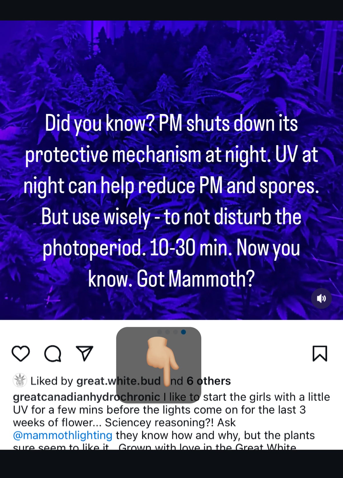 * New 2026 Nova Sun Series – Full Spectrum LED Grow Light with Emerald Green + Red Terp Boost Spectrum