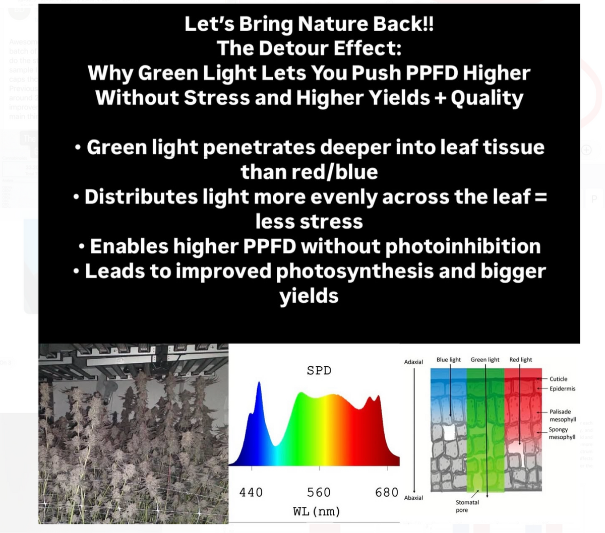 * New 2026 Nova Sun Series – Full Spectrum LED Grow Light with Emerald Green + Red Terp Boost Spectrum