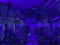 * New 2026 Nova Sun Series – Full Spectrum LED Grow Light with Emerald Green + Red Terp Boost Spectrum