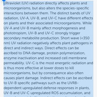 * New 2026 Nova Sun Series – Full Spectrum LED Grow Light with Emerald Green + Red Terp Boost Spectrum