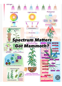 * New 2026 Nova Sun Series – Full Spectrum LED Grow Light with Emerald Green + Red Terp Boost Spectrum