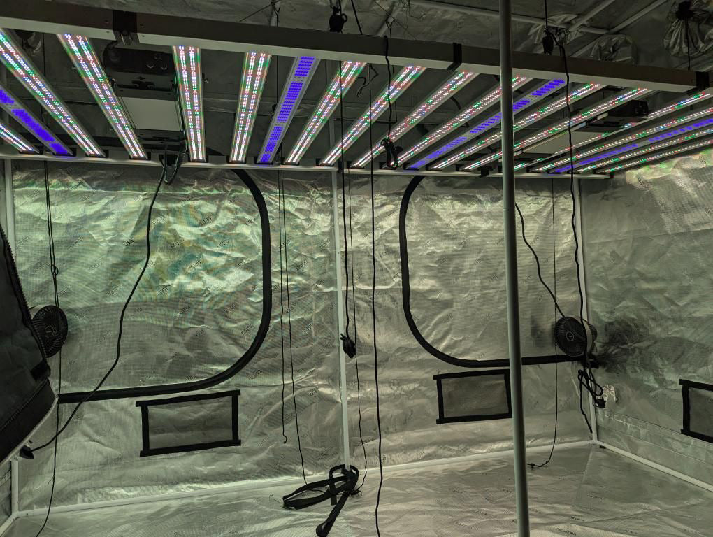 Using UV and Far Red Light in Cannabis Cultivation: How and When to Apply for Maximum Benefits