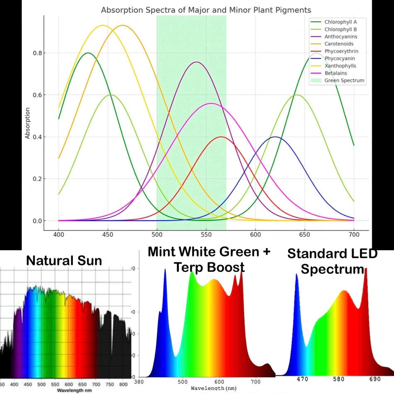 Revolutionizing Plant Lighting: The Science Behind the Mint White Series with Dual Peaks and Enhanced Spectrum