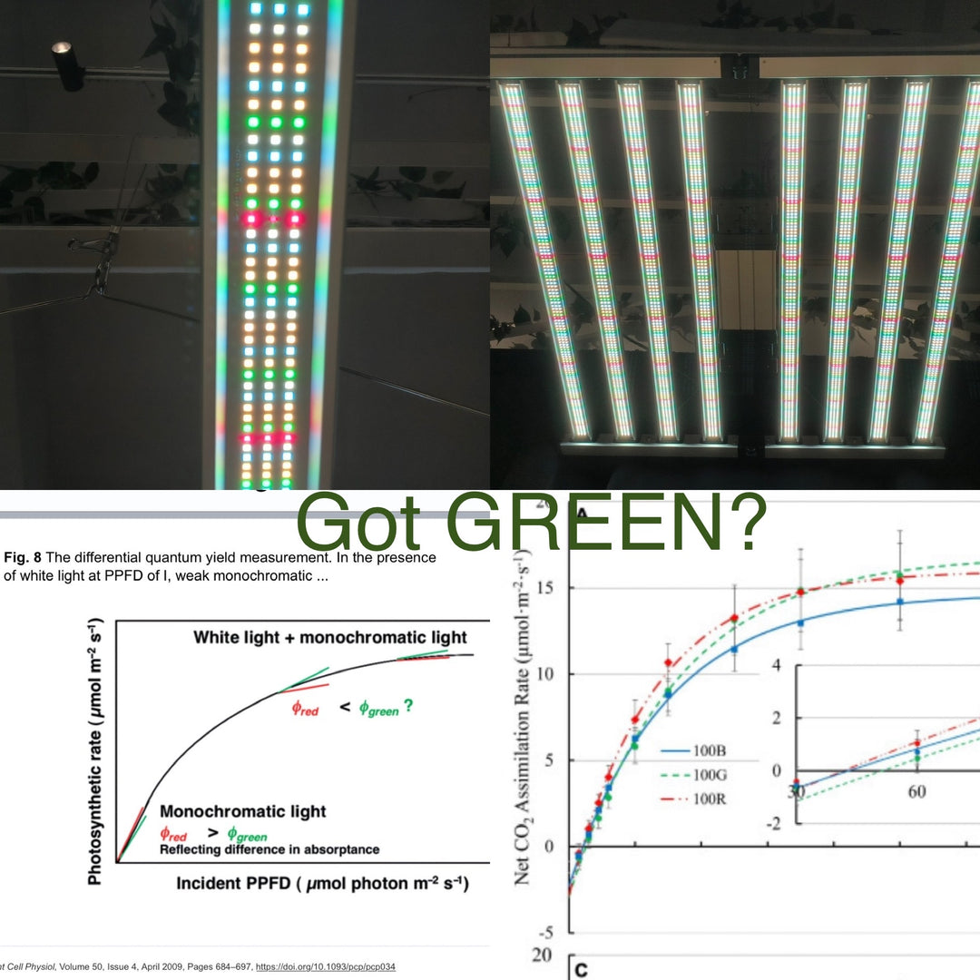 * New 2026 Nova Sun Series – Full Spectrum LED Grow Light with Emerald Green + Red Terp Boost Spectrum