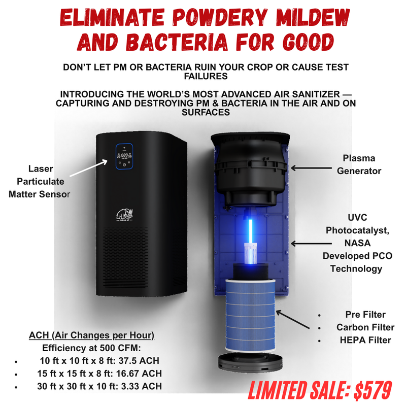 Capture & Kill Air and Surface Sanitizer: HEPA + PCO + Plasma Technology