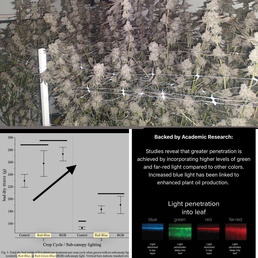 * New 2026 Nova Sun Series – Full Spectrum LED Grow Light with Emerald Green + Red Terp Boost Spectrum