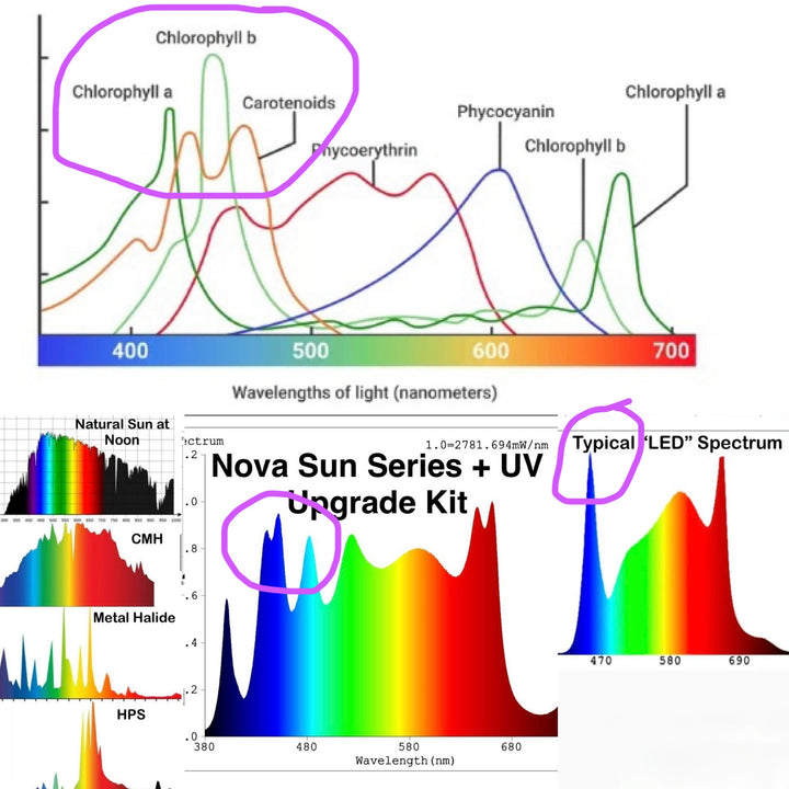 Preorder (Shipping early February): Nova Sun Series Multi-use Bars: Inter-canopy, Side Lighting, Under-canopy, Overhead.