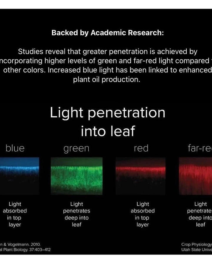 * Veg + Mom Series with Enhanced Blue Spectrum