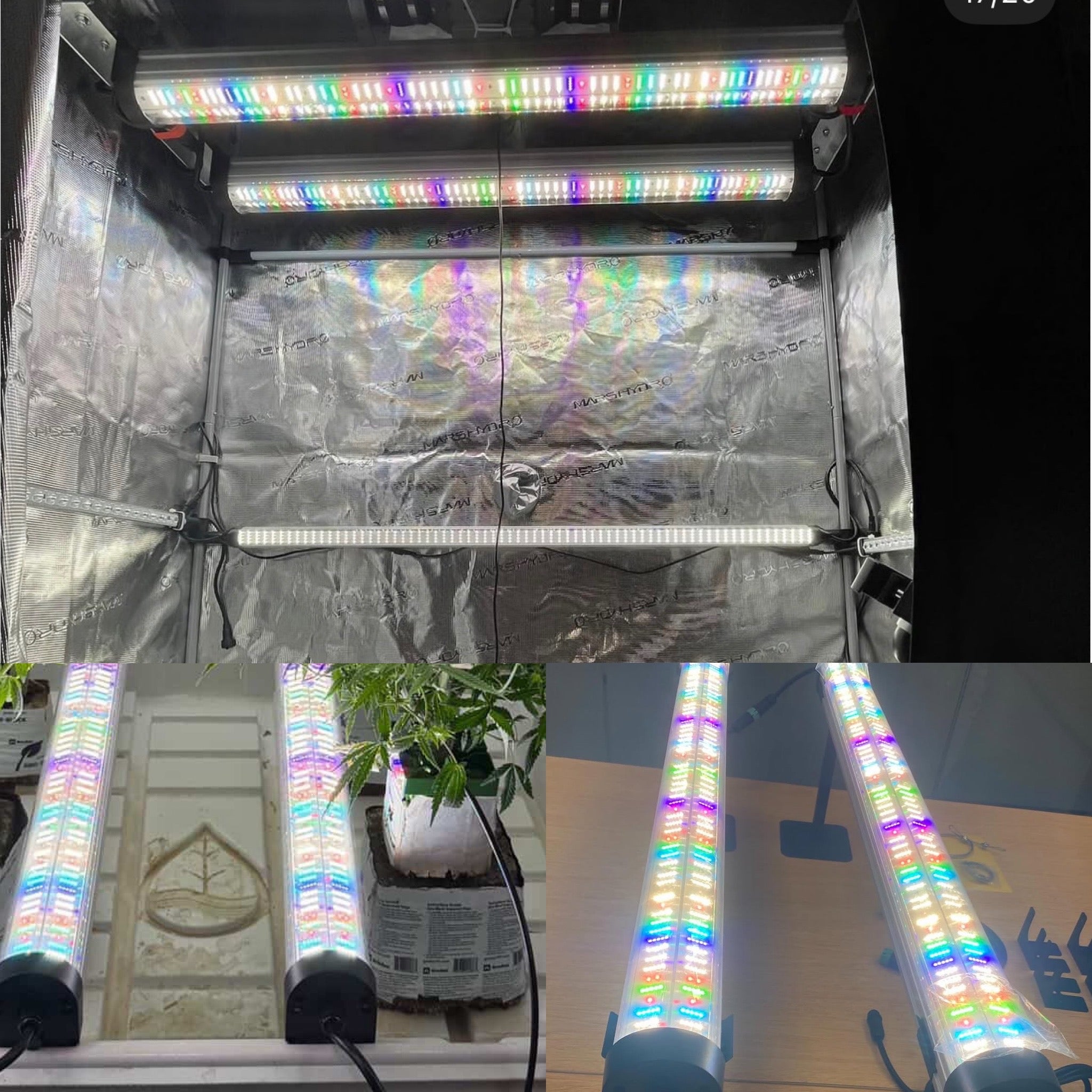 New 2026 Nova Sun Series – Full Spectrum LED Grow Light with