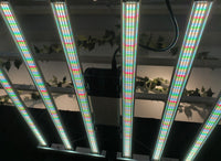 * 6-Bar 680W Mammoth Lighting Mint White Series with Emerald Green Canna Spectrum: Shipping 30 days from time of order