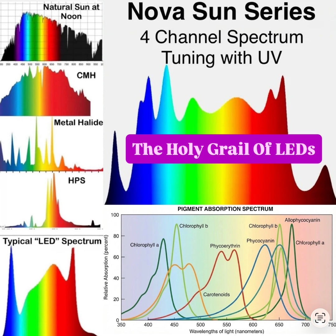 * New 2026 Nova Sun Series – Full Spectrum LED Grow Light with Emerald Green + Red Terp Boost Spectrum