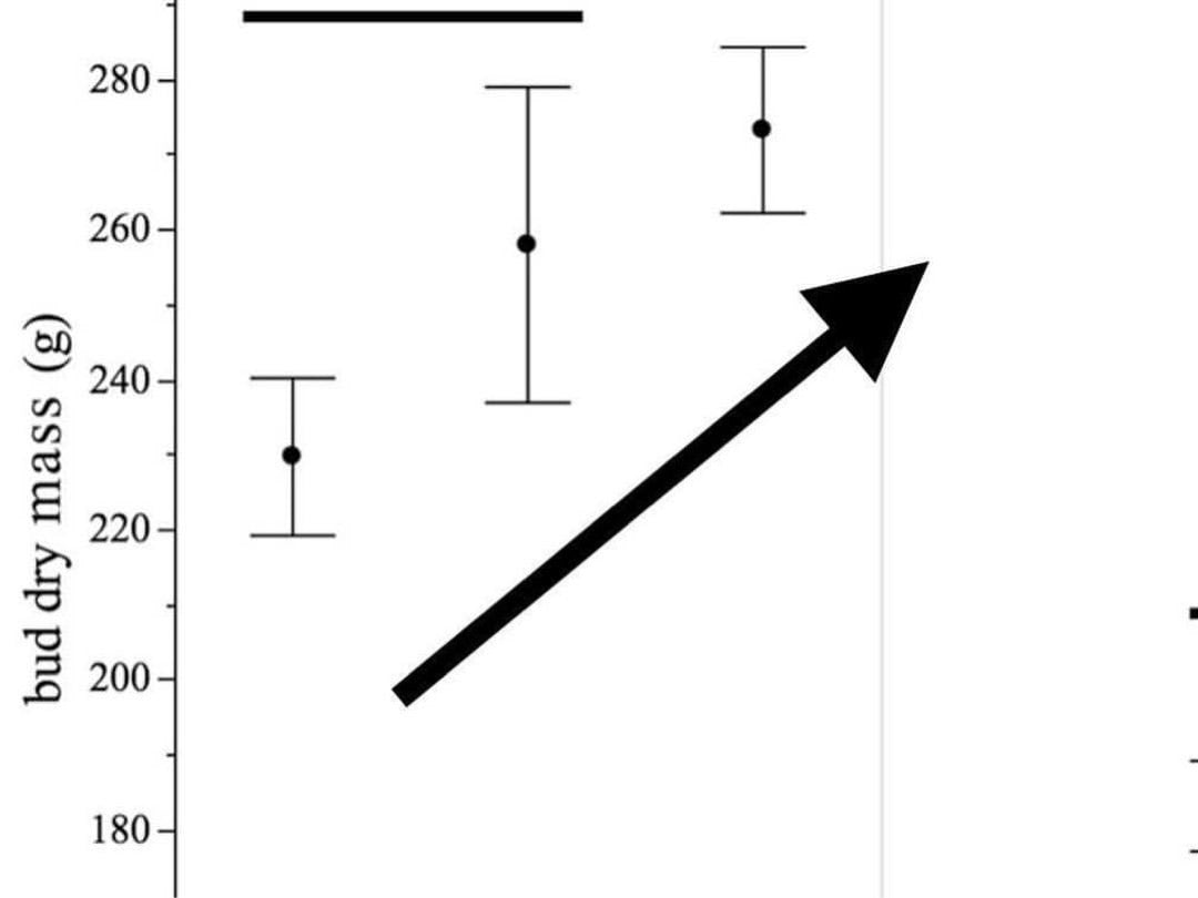 100w Single Bar - Nova Sun Series - Multi Use (Clones / Veg / Side Lighting / 2x4 tents, etc)