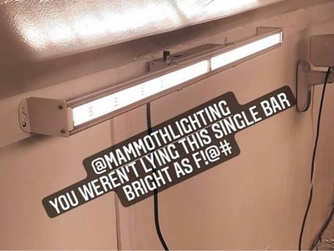 100w Single Bar - Multi Use (Clones / Veg / Side Lighting 100w Single Bar - Multi Use (Clones / Veg / Side Lighting