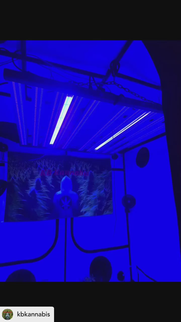 UV Upgrade Kit (2 UV bars + 100w driver).