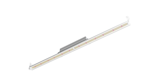 100w Single Bar - Multi Use - Mammoth Lighting - Samsung LM301b diodes