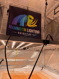 Room Banner - Mammoth Lighting Bright AF