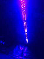 UV Bar